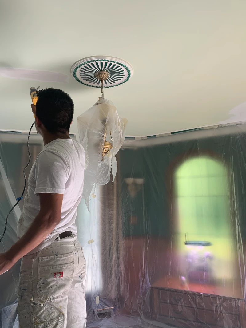 White Ceiling Paint Main Line